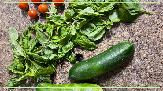 How my garden said “Nope” to the heat.